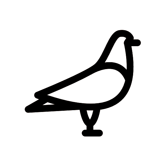 Ahuyentamiento de Palomas